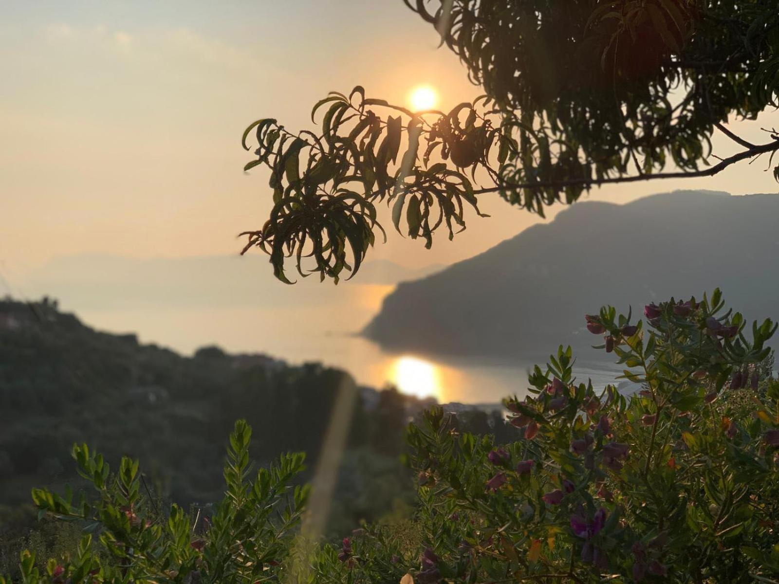 Romantic Lemonia Cottage Skopelos Eksteriør billede
